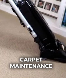 Carpet Maintenance